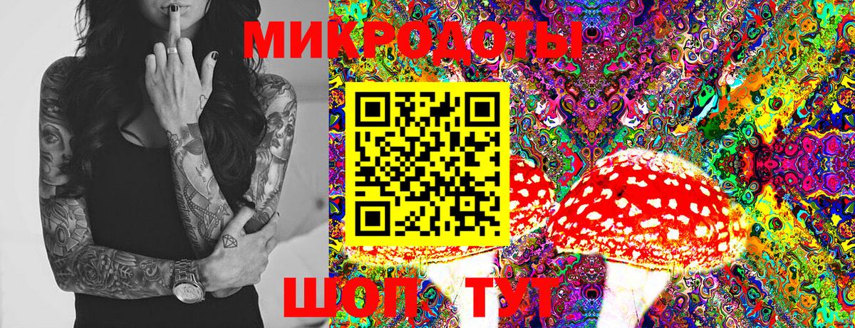 что такое   Псилоцибиновые грибы мицелий  Вход с VPN  Муравленко 