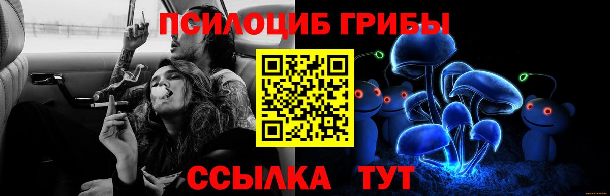 Галлюциногенные грибы Psilocybine cubensis Муравленко